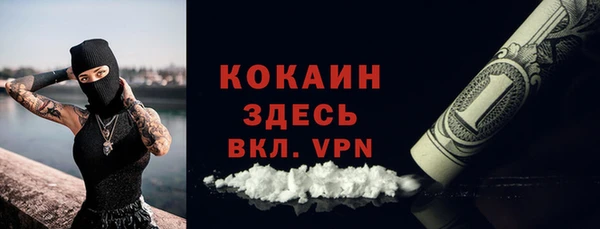 сатива Лагань
